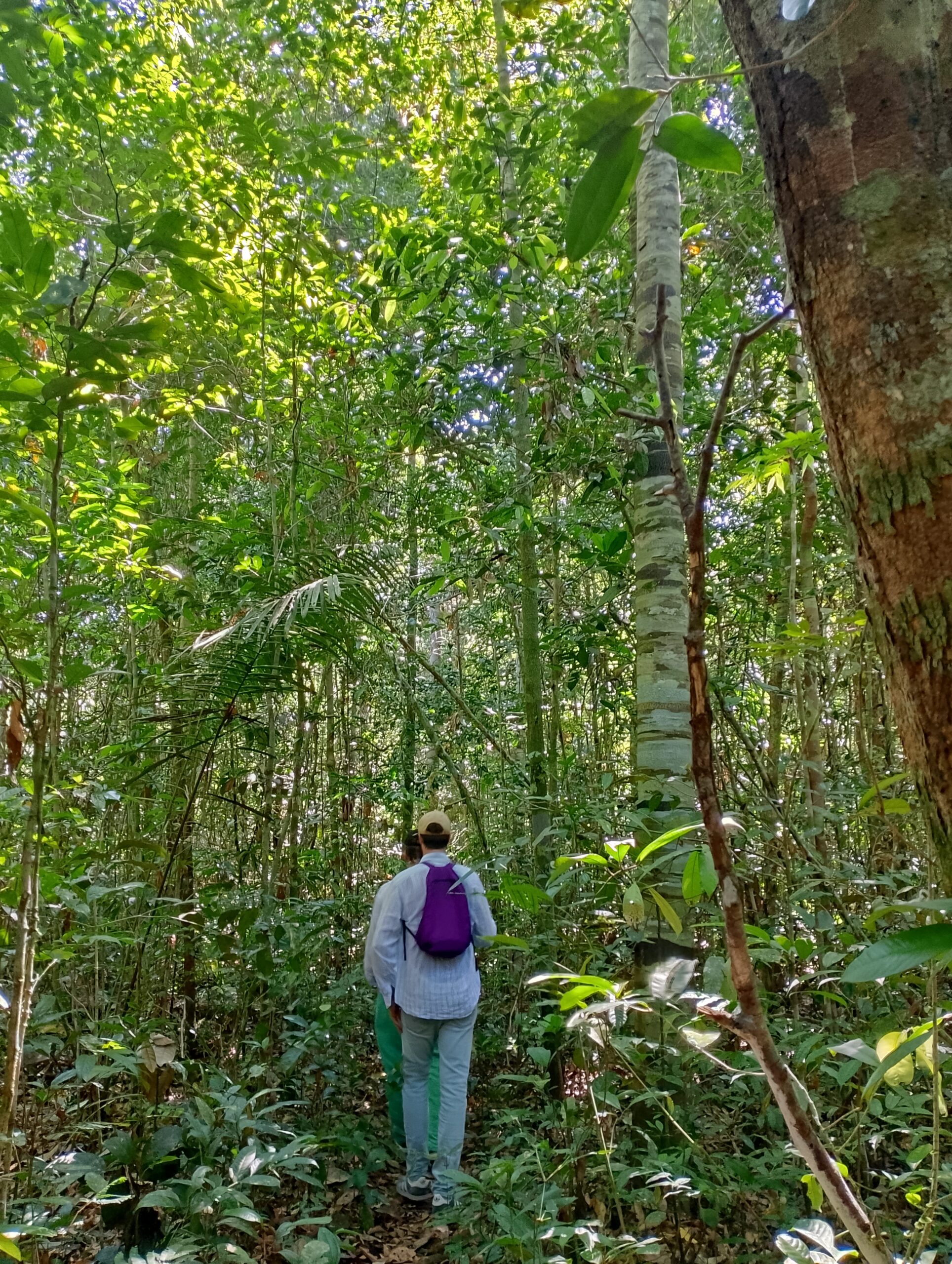 Amazon Adventure Experience package