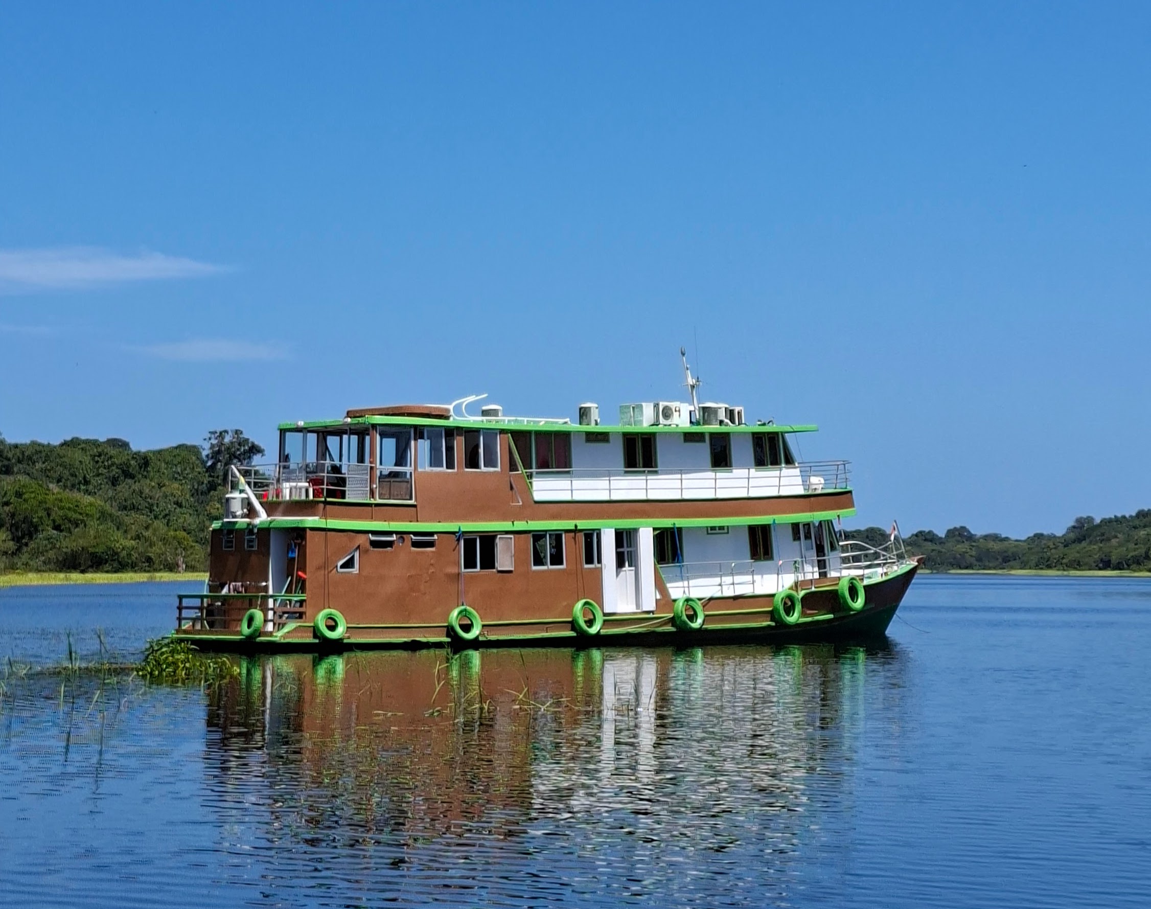 Boat tour on the Rio Negro in the Amazon