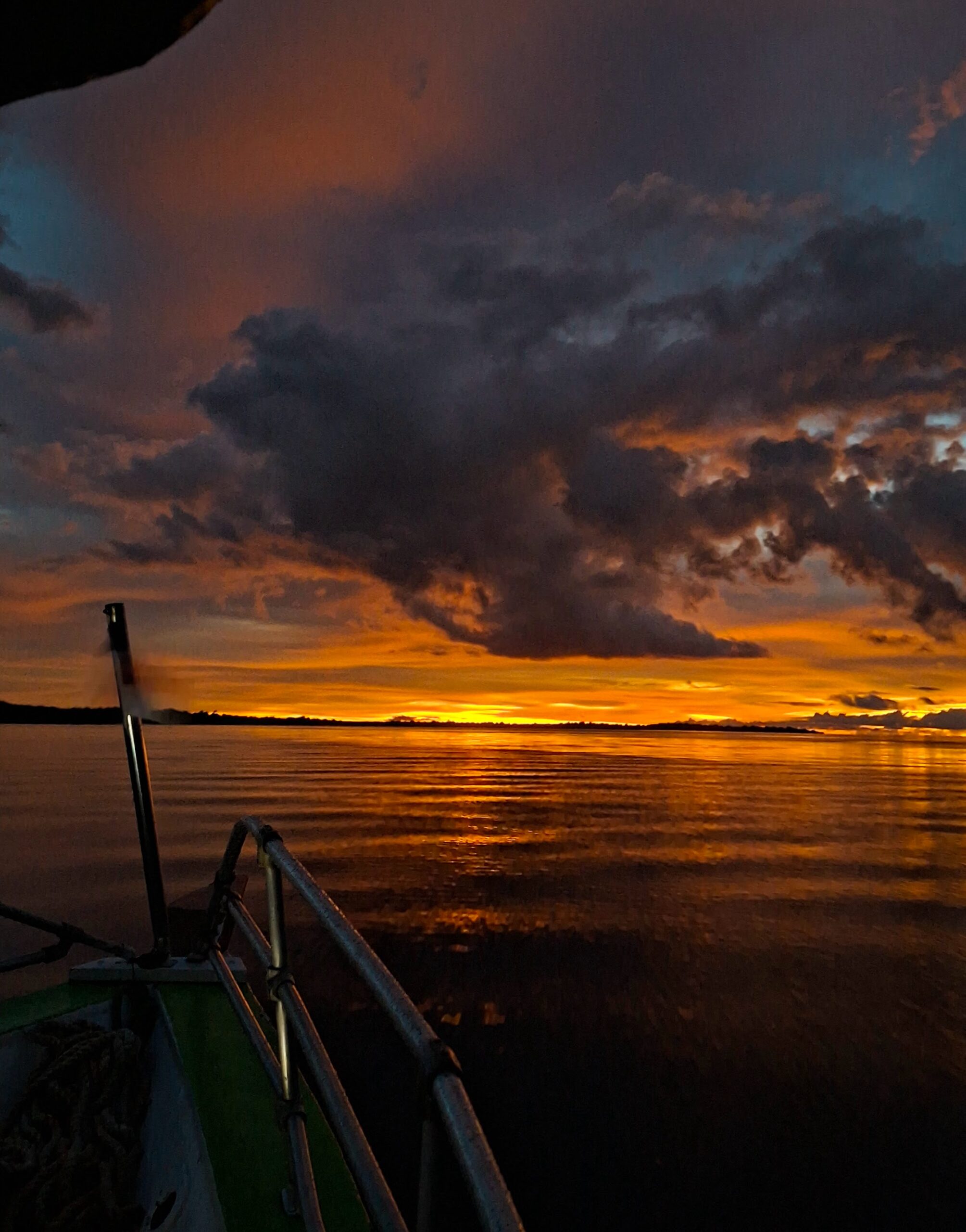 Rio Negro boat tour landscape