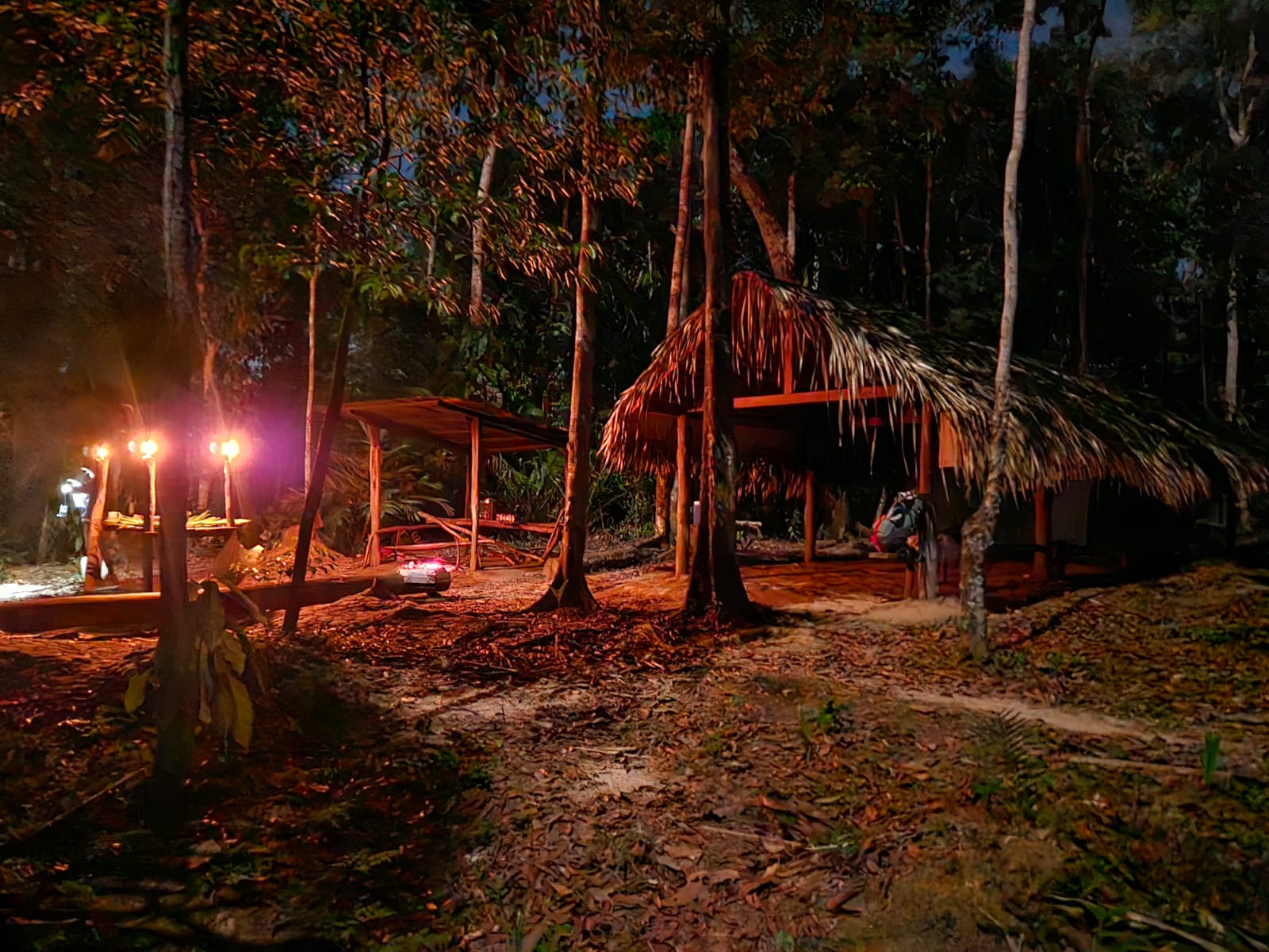 Full Amazon Immersion package