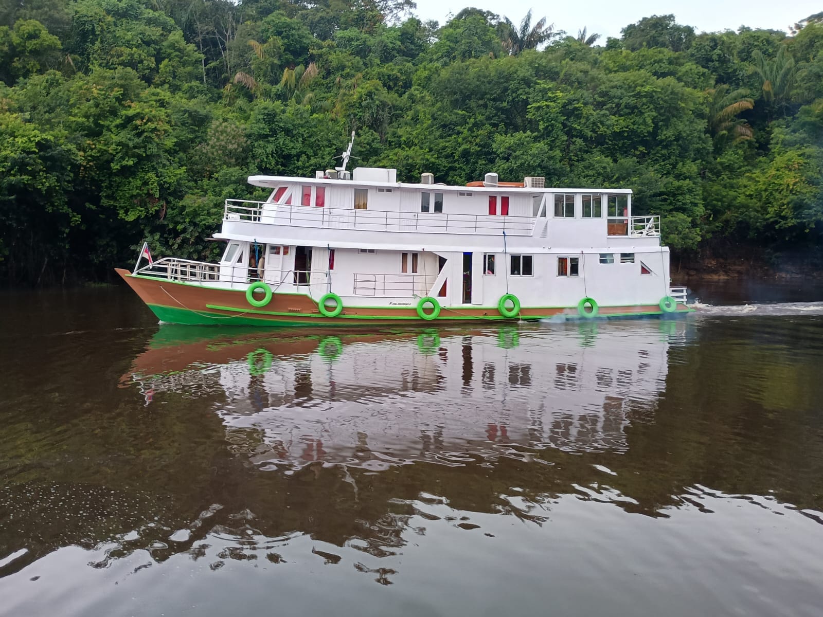 Amazon nature and blackwater scenery